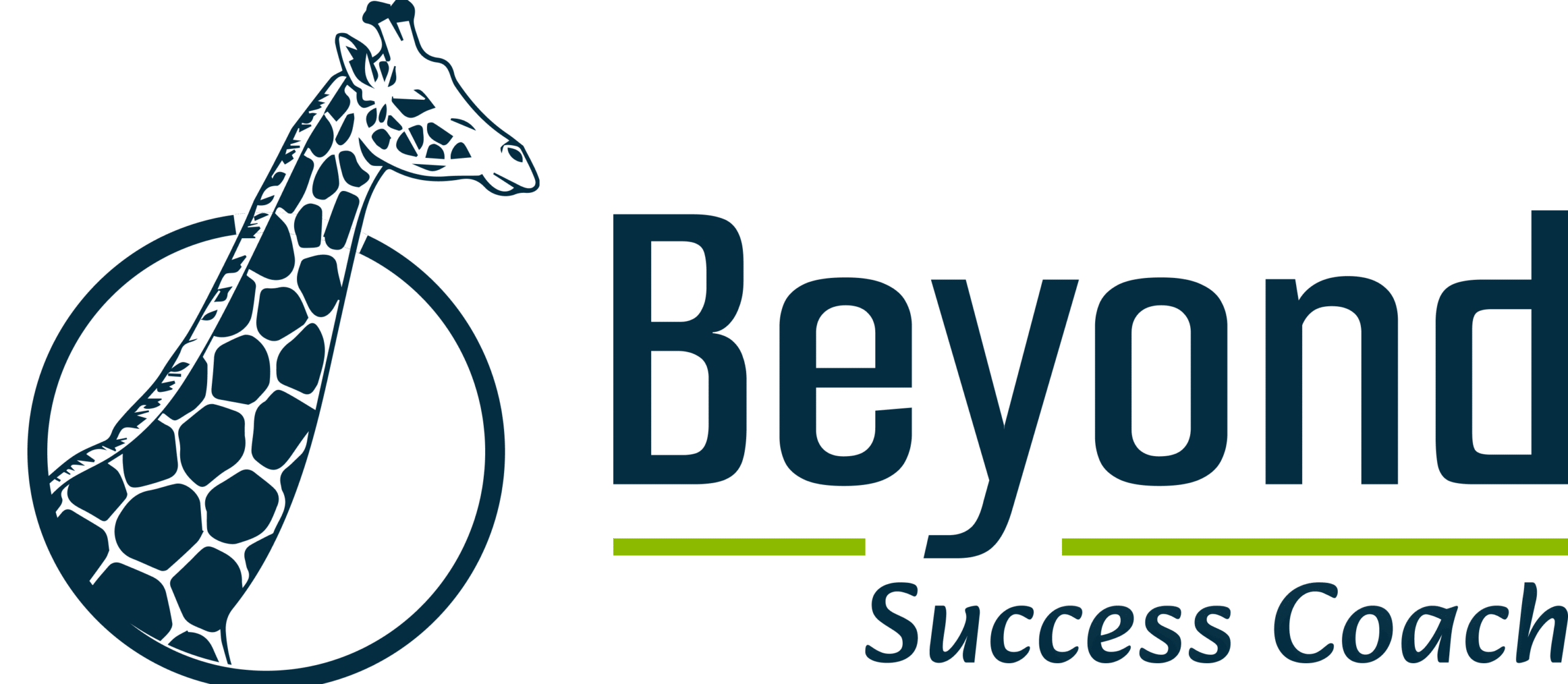 Beyond Success Coach Website